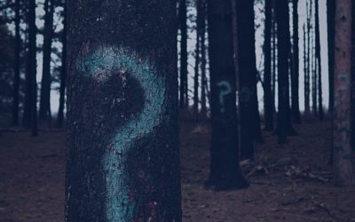 20 Questions to Ask When Buying ERP Software