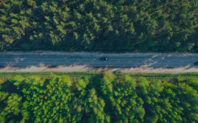 Rising Above the Tree Line with Acumatica