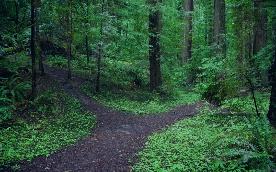 ERP Transition Strategy: Why Moving from Dynamics GP to Acumatica Makes Sense