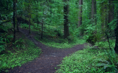 ERP Transition Strategy: Why Moving from Dynamics GP to Acumatica Makes Sense